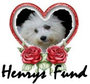 Henrys Fund Logo-new
